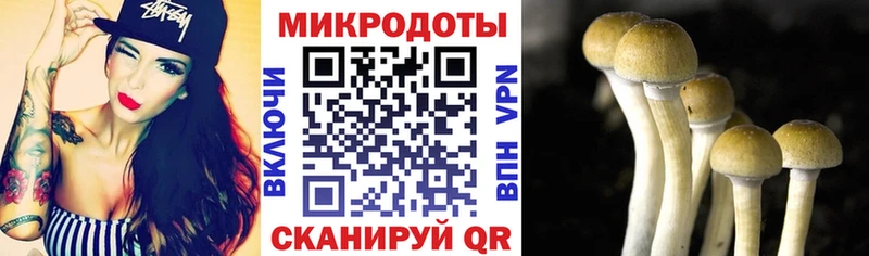 мега зеркало  Полевской  Псилоцибиновые грибы Cubensis  где купить наркотик 