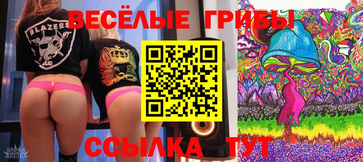 Галлюциногенные грибы мицелий  Вход с VPN  Полевской  Псилоцибиновые грибы мицелий 